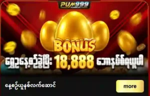 pum999 online casino